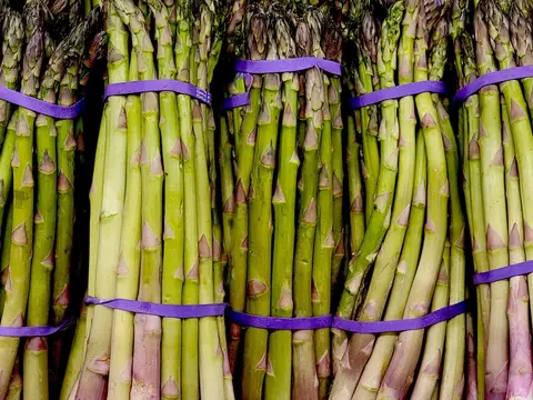 Cuisson asperges blanches : temps et méthode pas à pas